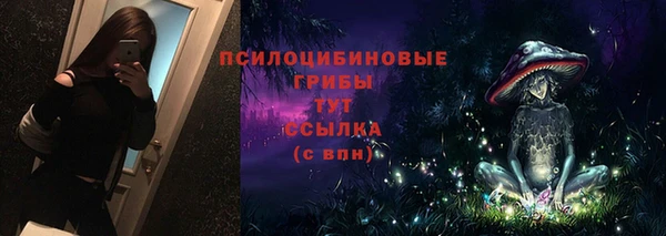 прущая мука Пересвет